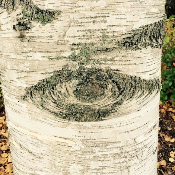 Meet your Posher, Kayla - Picture 1 of 1